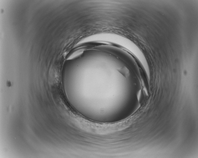 X0000087510039200705041000