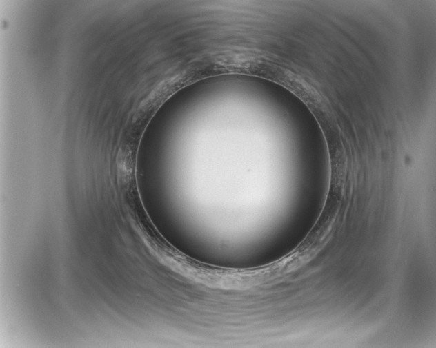 X0000087510040200705041000