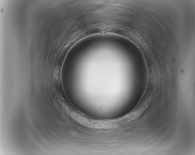 X0000087510044200705041000