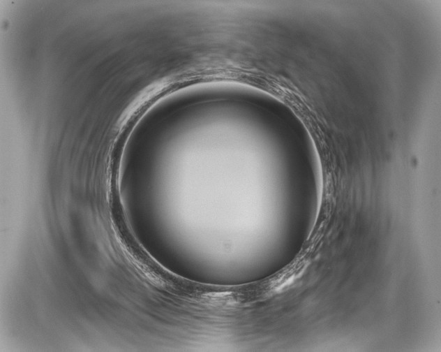 X0000087510054200705040959