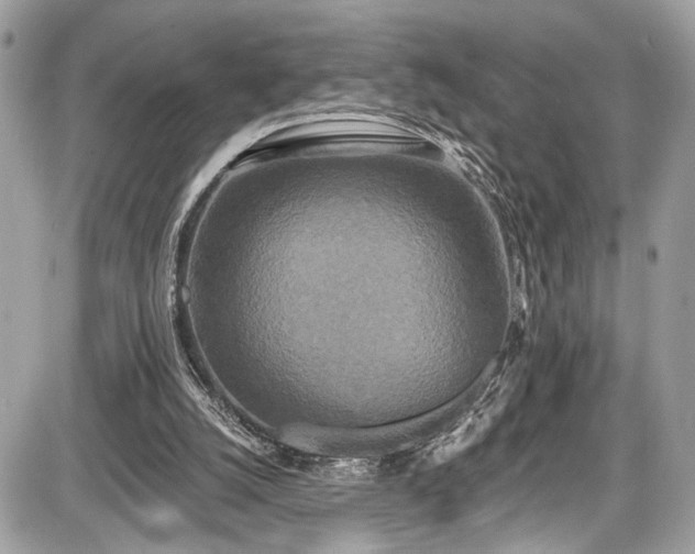 X0000087510056200705040959