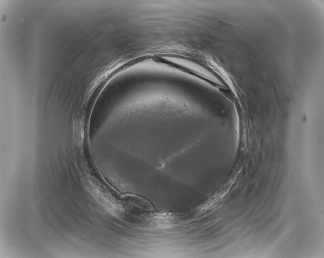 X0000087510059200705040959