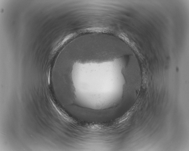 X0000087510062200705040959