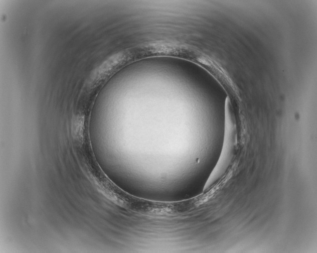 X0000087510066200705040959