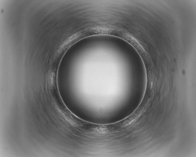 X0000087510071200705040959