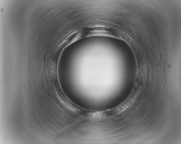 X0000087510092200705041000