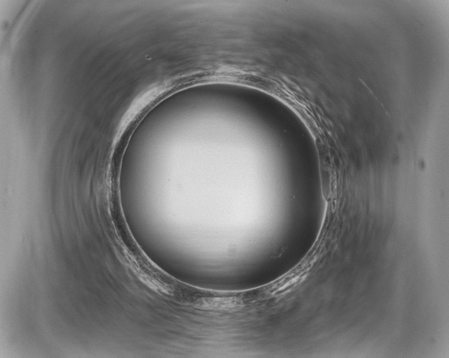 X0000087510102200705040959