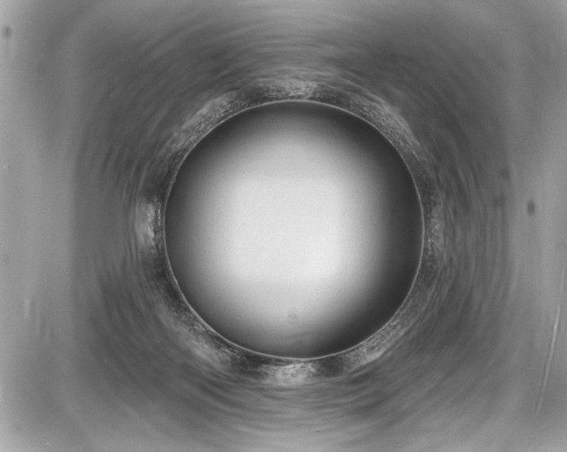 X0000087510122200705040958