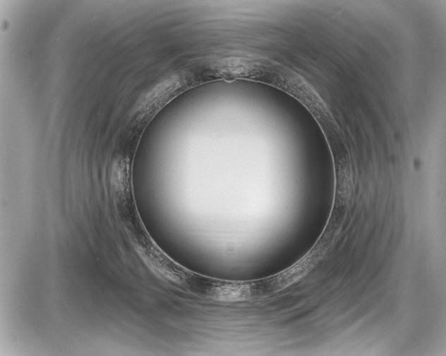 X0000087510126200705040958