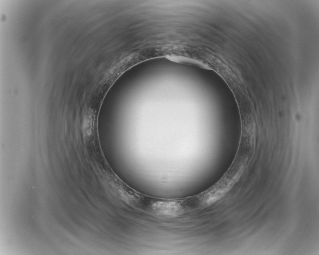 X0000087510133200705040958