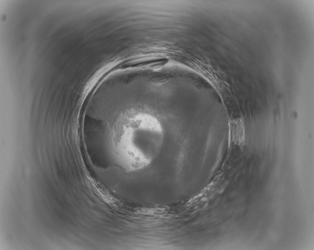 X0000087510147200705040957