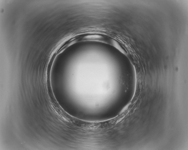 X0000087510148200705040957