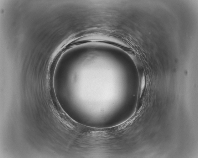 X0000087510150200705040957