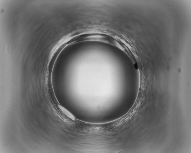 X0000087510152200705040957