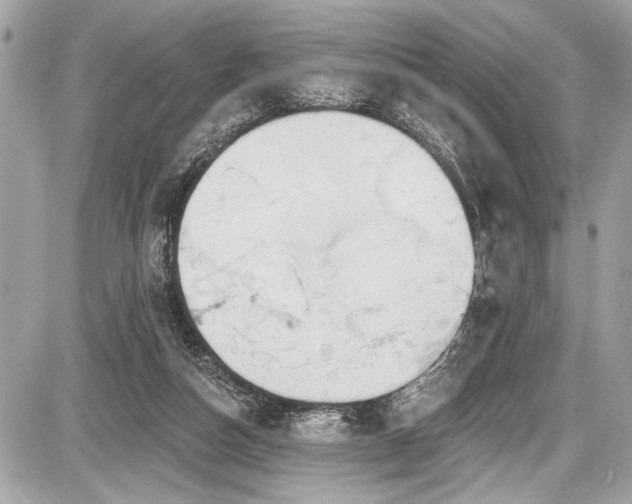 X0000087510162200705040958