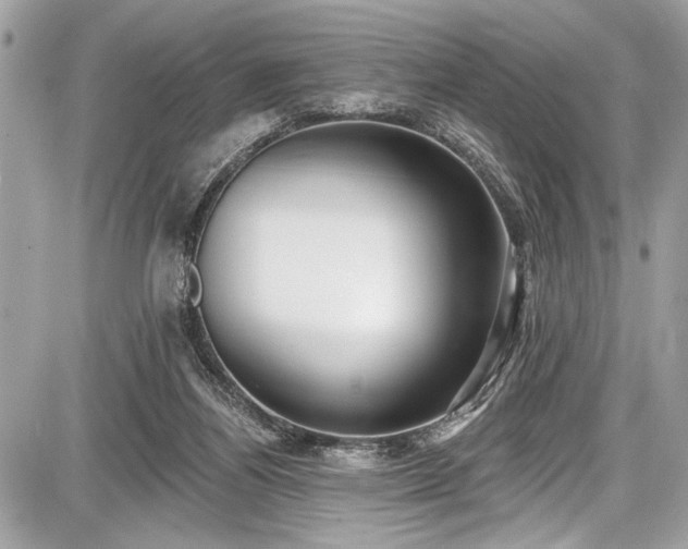 X0000087510164200705040958
