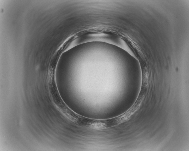 X0000087510168200705040958