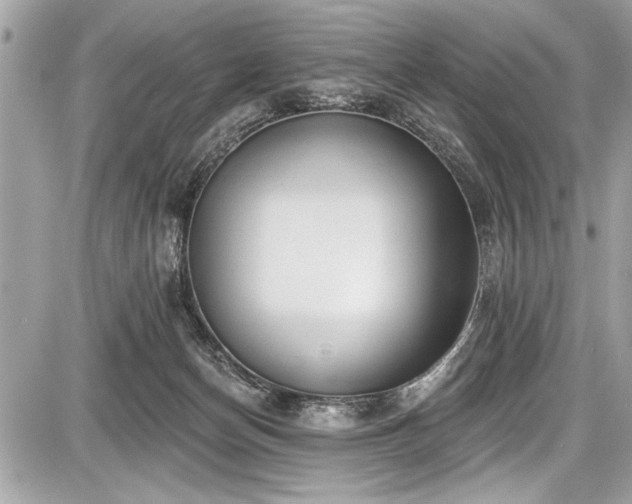 X0000087510174200705040958