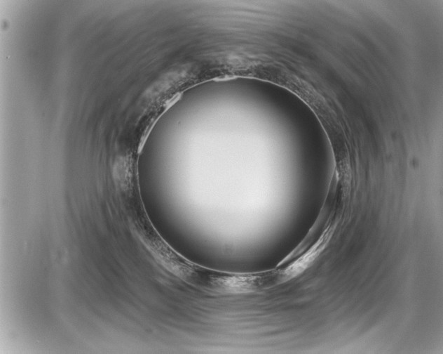 X0000087510184200705040958