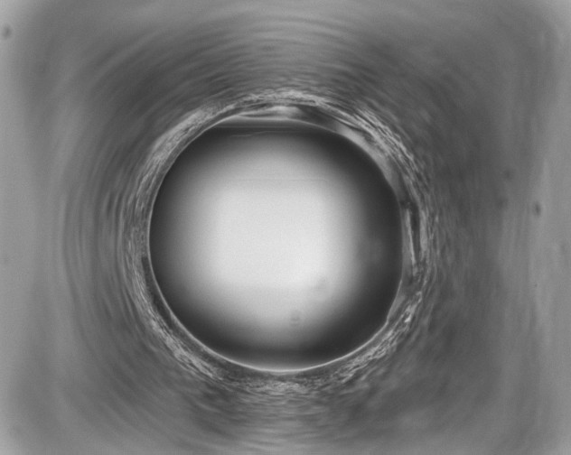 X0000087510193200705040957