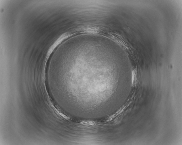 X0000087510195200705040957