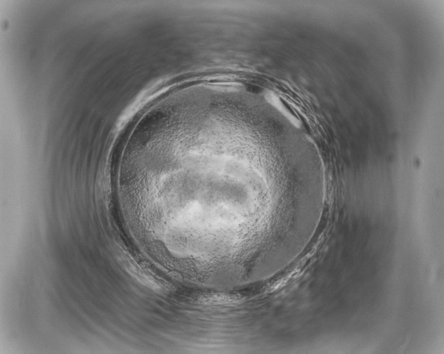 X0000087510198200705040957