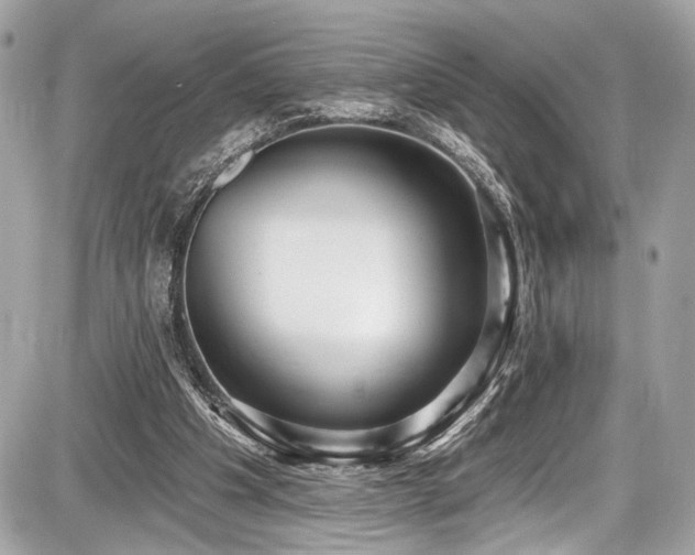 X0000087510201200705040957