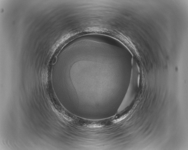 X0000087510204200705040957
