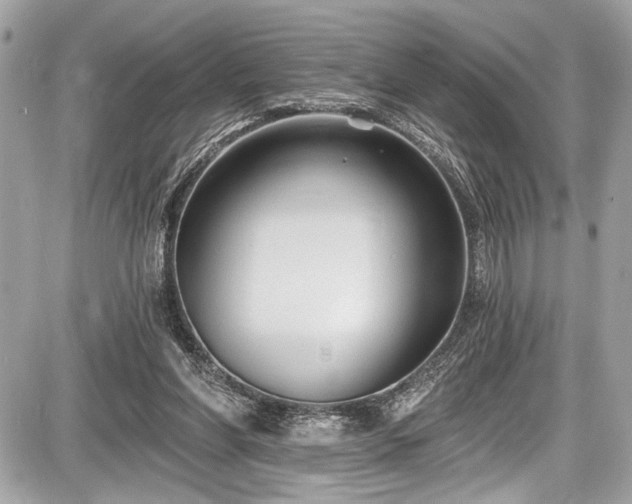 X0000087510206200705040957