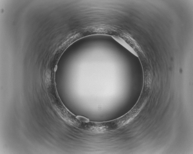 X0000087510213200705040957