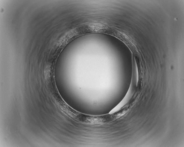 X0000087510221200705040957