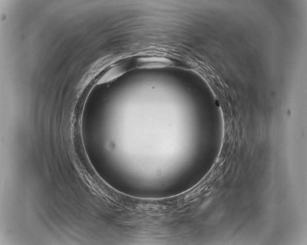 X0000087510242200705040956