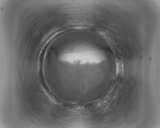 X0000087510243200705040956