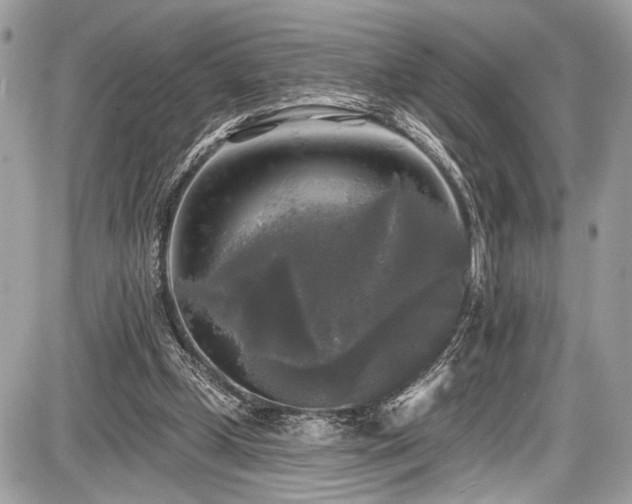 X0000087510249200705040956