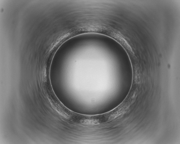 X0000087510251200705040956