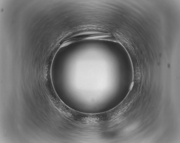 X0000087510255200705040956