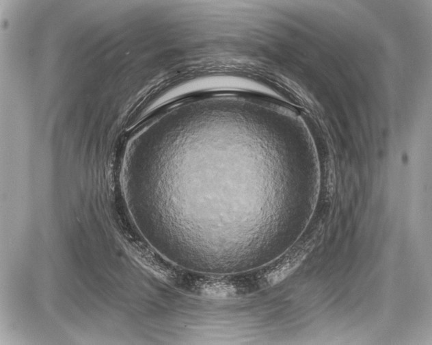 X0000087510258200705040956