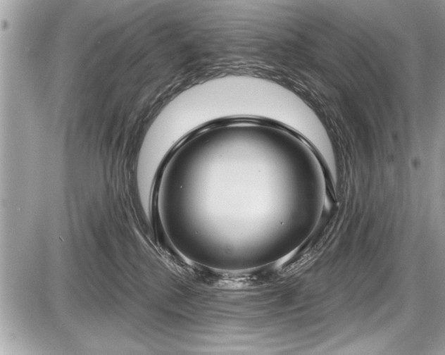 X0000087510280200705040956