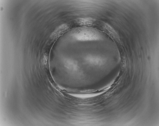 X0000087510281200705040956
