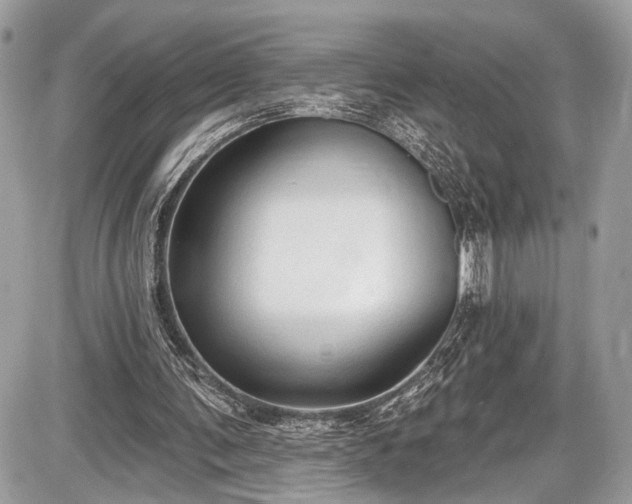 X0000087510291200705040956