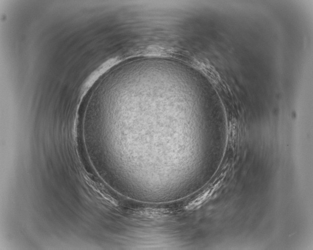 X0000087510292200705040956