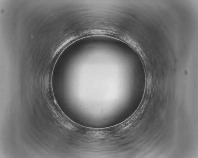 X0000087510297200705040956