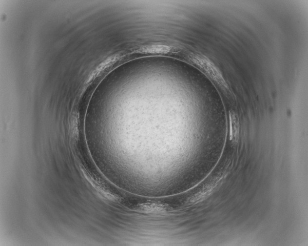X0000087510300200705040956