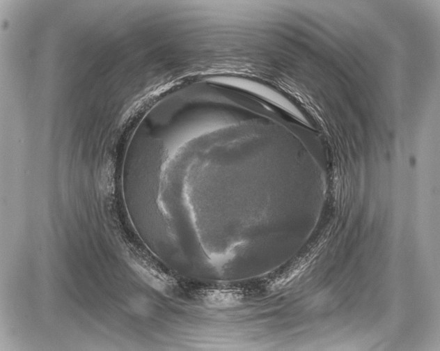 X0000087510303200705040956