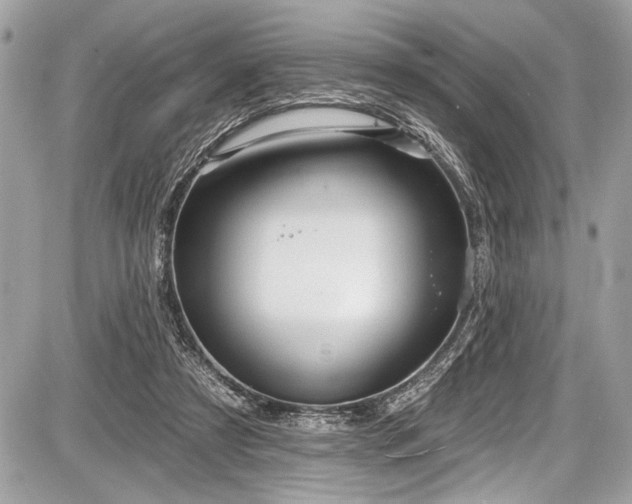 X0000087510305200705040955