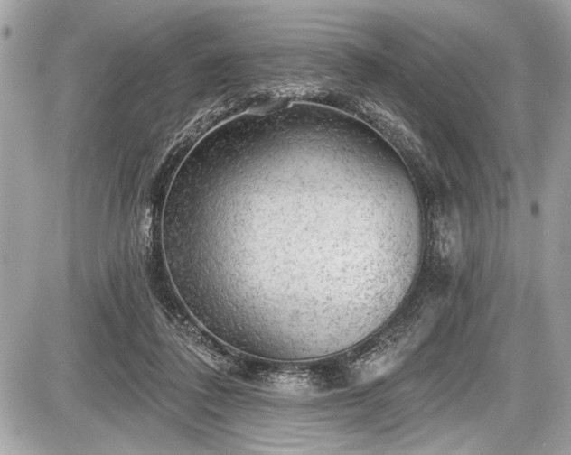X0000087510308200705040955