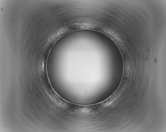 X0000087510310200705040955