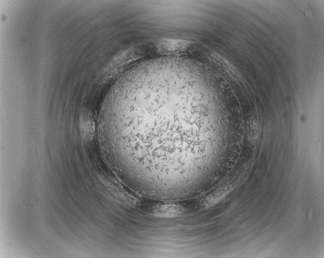 X0000087510324200705040955