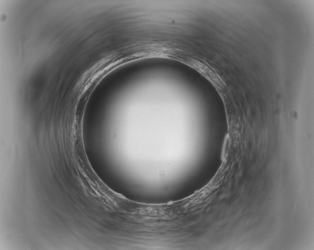 X0000087510338200705040954