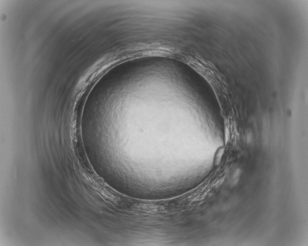 X0000087510339200705040954